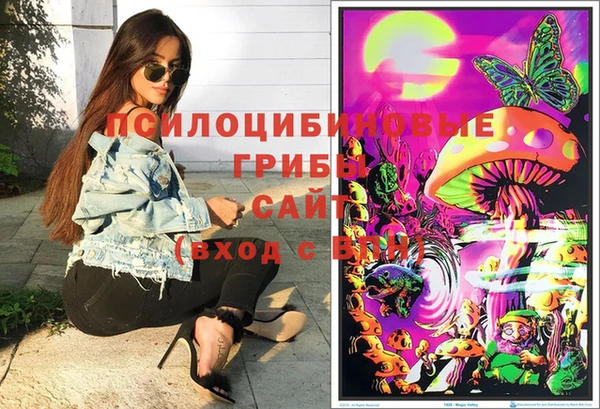 ПСИЛОЦИБИНОВЫЕ ГРИБЫ Абдулино