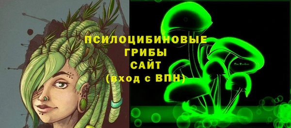 ПСИЛОЦИБИНОВЫЕ ГРИБЫ Абдулино